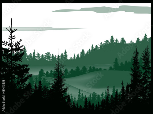 evergreen dark forest in hills