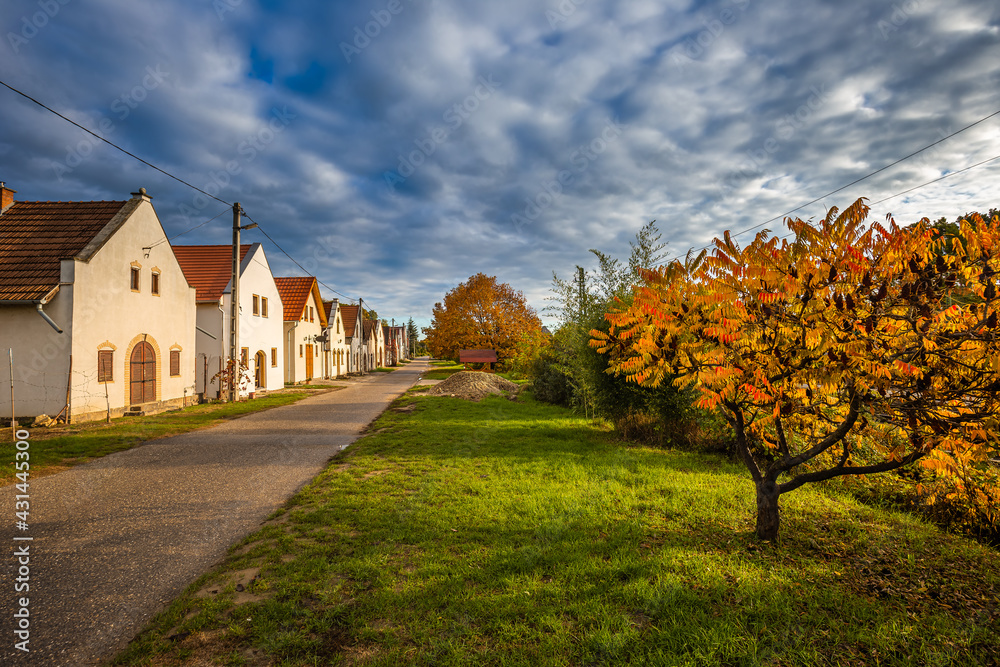 Obraz premium Tokaj, Hungary - Narrow street and the world famous Hungarian wine cellars of Tokaj wine region, taken on a warm autumn morning with golden glowing tree, blue sky and clouds