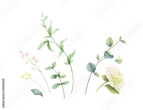 Watercolor vector bouquet of green branches and flowers.