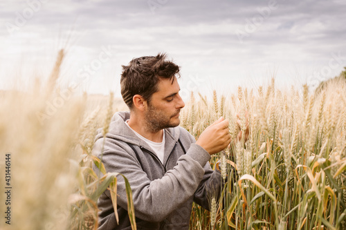 Young farmer in a wheat field before the harvest.
