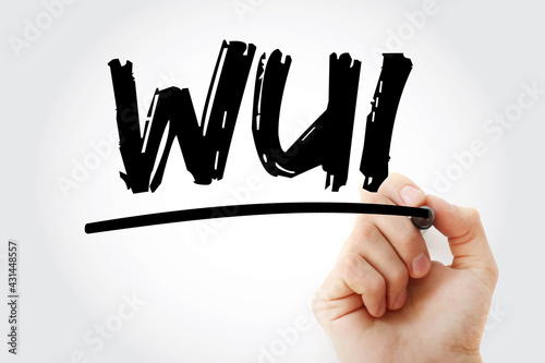 WUI - Web Based User Interface acronym with marker, technology concept background