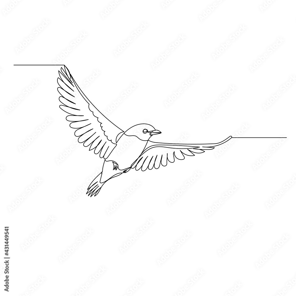 Fototapeta premium vector, isolated, one line drawing bird flying