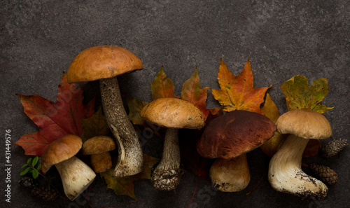 Autumn forest mushrooms lie on a brown background with fallen leaves, nature