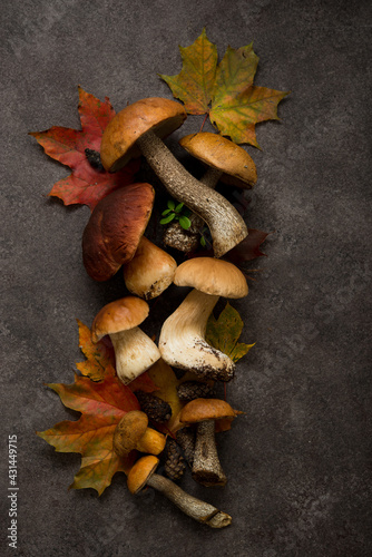 Autumn forest mushrooms lie on a brown background with fallen leaves, nature