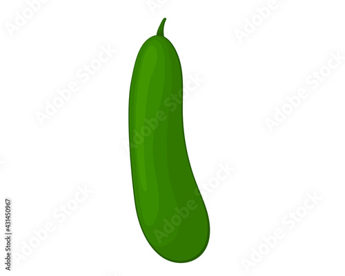 Green cucumber in cartoon style. Vector vegetables illustration. Isolated on white background. Vegetarian food
