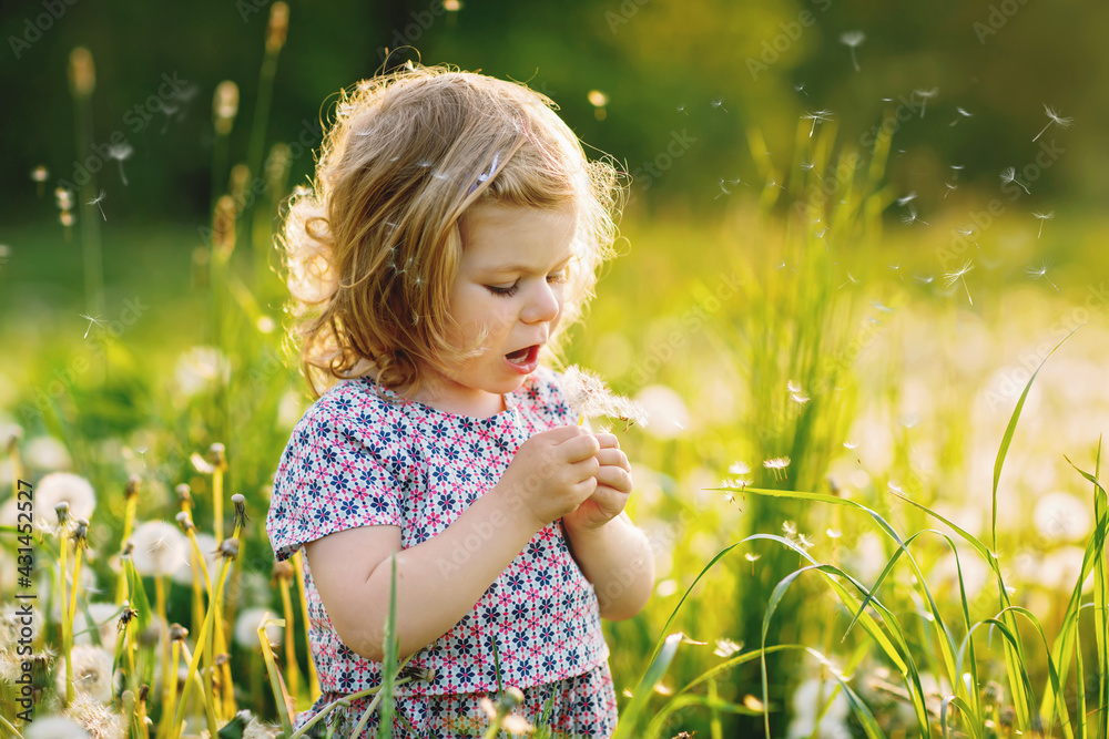 Adorable cute little baby girl blowing on a dandelion flower on the nature in the summer. Happy healthy beautiful toddler child with blowball, having fun. Bright sunset light, active kid. Adorable cute little baby girl blowing on a dandelion flower on the nature in the summer. Happy healthy beautiful toddler child with blowball, having fun. Bright sunset light, active kid.