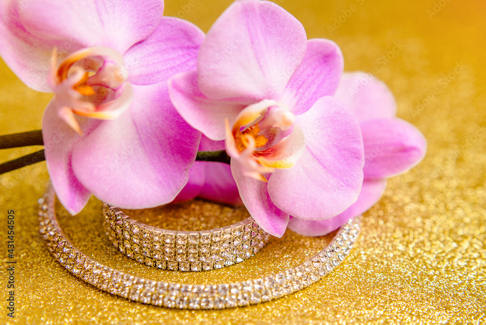 Bracelet and necklace on a gold shiny background
Bracelet and necklace on a gold shiny background