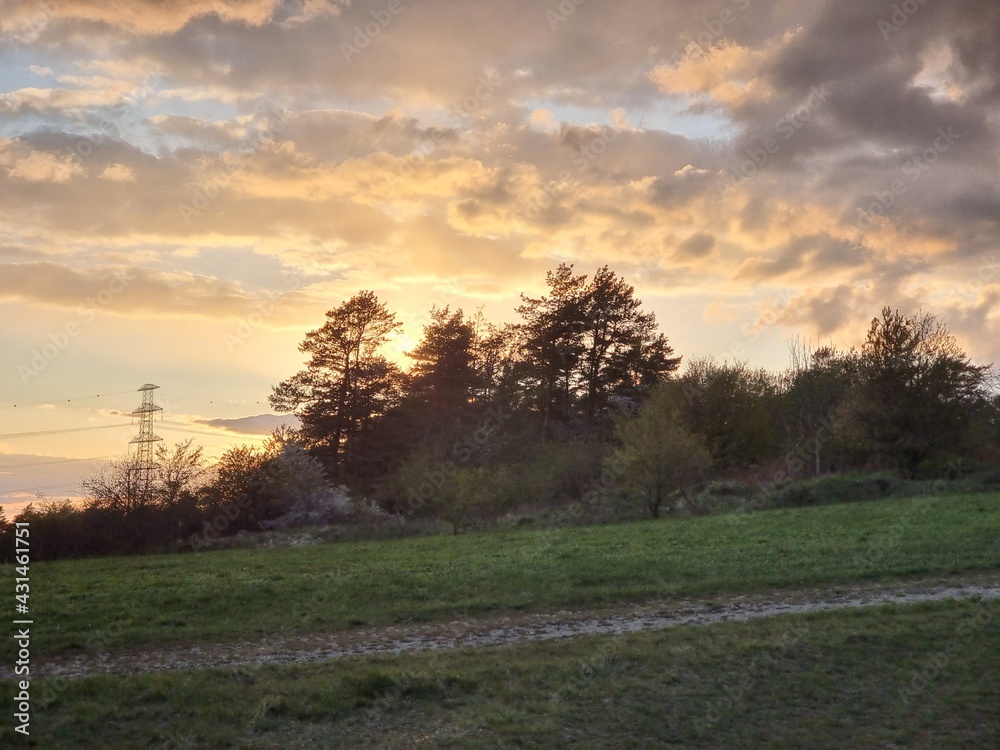 Fototapeta premium Sunset behind trees and a power pole, nature and technology
