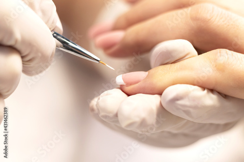 French manicure is the process of performing a procedure in a beauty salon by a manicure master. White gel polish and a fine brush. Close-up