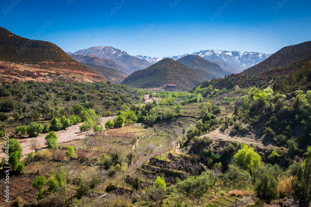 green valley against snowcapped high atlas mountain