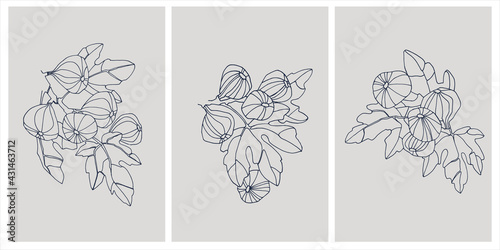 Decor printable art. Set of hand drawn vector illustrations of fig fruits on branches © Blooming Sally