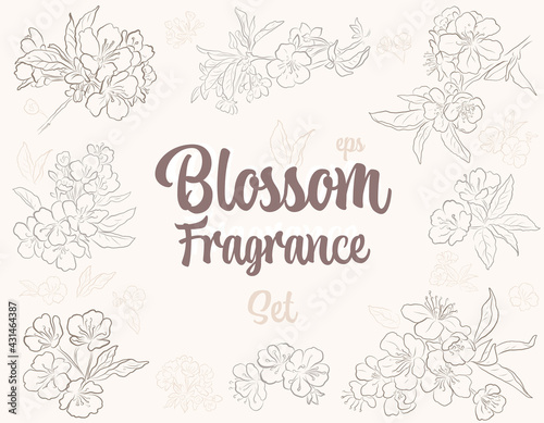 Vector vintage Set Blossom Fragrance. Elements of branches with Spring blossom. For Textile, card, invitation design.