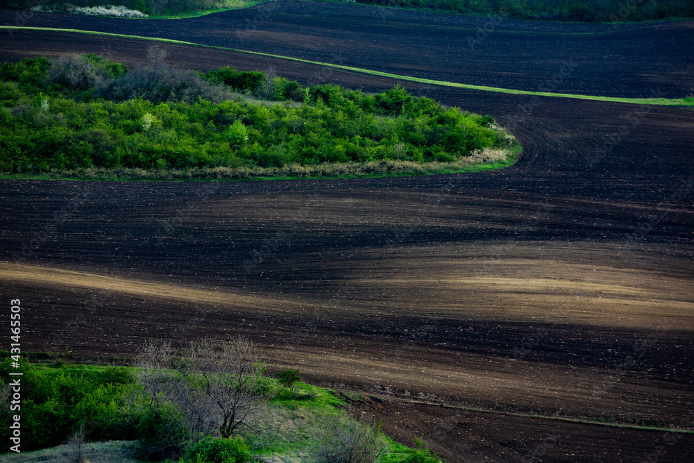 Texture of brown agricultural soil. Beautiful sunrise on the farm. The Farm in the Moldova, Europe. Freshly plowed spring field for planting vegetable seeds.