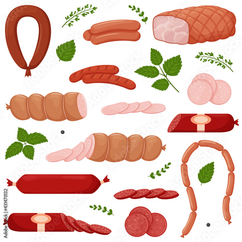Set of boiled and smoked sausage products, frankfurter, whole sausage, half, sliced,boiled pork,string of sausages, green twigs and leaves. Food, meat dish. Color vector illustration isolated on white