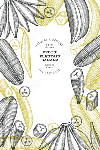 Hand drawn sketch style plantain banner. Organic fresh fruit vector illustration. Retro exotic banana fruit design template