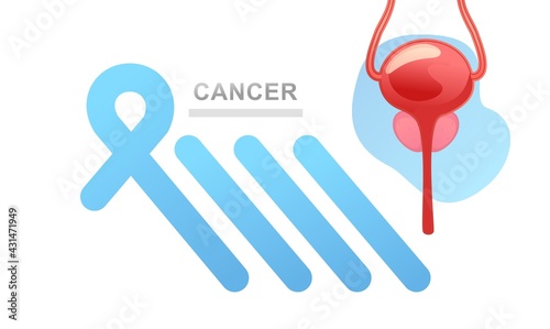 concept vector banner human prostate,