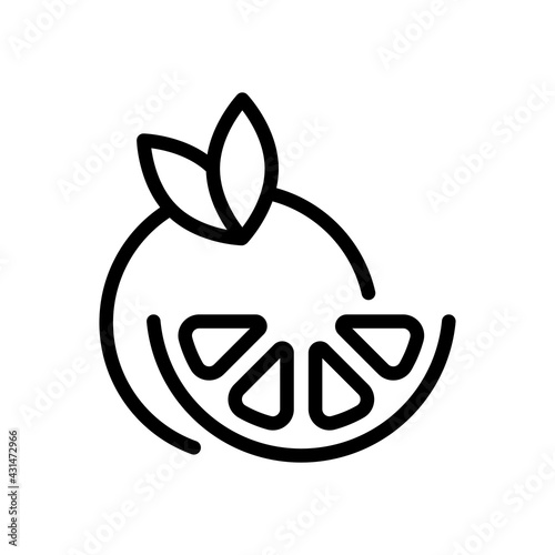 Orange slice, half lemon, fresh fruit, icon of food. Black linear icon with editable stroke on white background