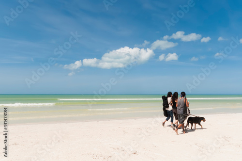 A group of friends walks on a Caribbean beach on Holbox Island in Mexico with a dog. Travel vacations