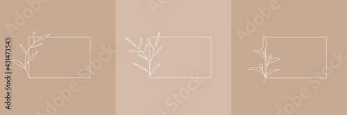 Set Hand Drawn Organic grass, Leaves and flower with square frame, Floral elements, Botanical illustration, Decorative Leaf, Vector Illustration for graphic design, wedding, invitation, logo, cosmetic