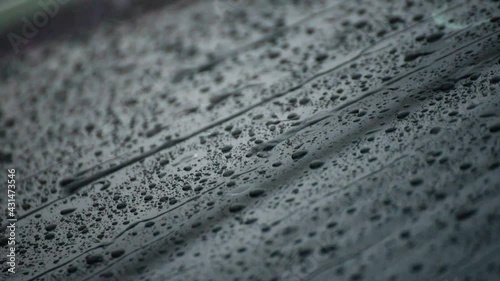 Wallpaper Mural The day was heavy rain, the weather was overcast.Rain water falls on the windshield Torontodigital.ca