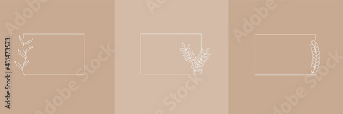 Set Hand Drawn Organic grass, Leaves and flower with square frame, Floral elements, Botanical illustration, Decorative Leaf, Vector Illustration for graphic design, wedding, invitation, logo, cosmetic