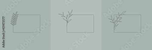 Set Hand Drawn Organic grass, Leaves and flower with square frame, Floral elements, Botanical illustration, Decorative Leaf, Vector Illustration for graphic design, wedding, invitation, logo, cosmetic