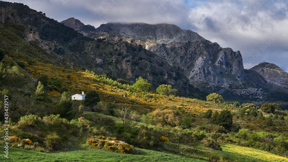 North face of the Sierra Prieta mountains, near the Sierra de las Nieves national park in Malaga. Spain