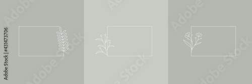 Set Hand Drawn Organic grass, Leaves and flower with square frame, Floral elements, Botanical illustration, Decorative Leaf, Vector Illustration for graphic design, wedding, invitation, logo, cosmetic