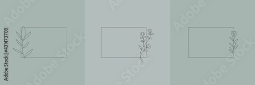 Set Hand Drawn Organic grass, Leaves and flower with square frame, Floral elements, Botanical illustration, Decorative Leaf, Vector Illustration for graphic design, wedding, invitation, logo, cosmetic