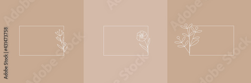 Set Hand Drawn Organic grass, Leaves and flower with square frame, Floral elements, Botanical illustration, Decorative Leaf, Vector Illustration for graphic design, wedding, invitation, logo, cosmetic