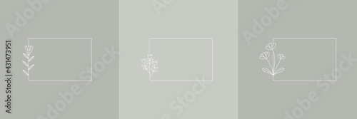 Set Hand Drawn Organic grass, Leaves and flower with square frame, Floral elements, Botanical illustration, Decorative Leaf, Vector Illustration for graphic design, wedding, invitation, logo, cosmetic