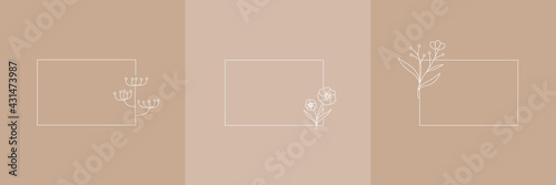 Set Hand Drawn Organic grass, Leaves and flower with square frame, Floral elements, Botanical illustration, Decorative Leaf, Vector Illustration for graphic design, wedding, invitation, logo, cosmetic
