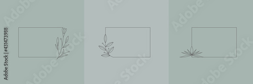 Set Hand Drawn Organic grass, Leaves and flower with square frame, Floral elements, Botanical illustration, Decorative Leaf, Vector Illustration for graphic design, wedding, invitation, logo, cosmetic