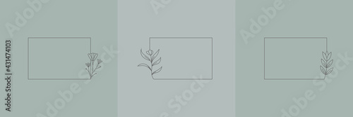 Set Hand Drawn Organic grass, Leaves and flower with square frame, Floral elements, Botanical illustration, Decorative Leaf, Vector Illustration for graphic design, wedding, invitation, logo, cosmetic