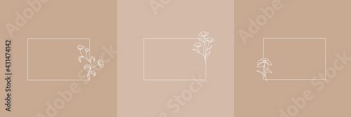 Set Hand Drawn Organic grass, Leaves and flower with square frame, Floral elements, Botanical illustration, Decorative Leaf, Vector Illustration for graphic design, wedding, invitation, logo, cosmetic