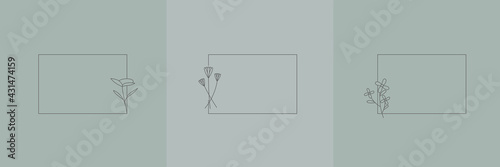 Set Hand Drawn Organic grass, Leaves and flower with square frame, Floral elements, Botanical illustration, Decorative Leaf, Vector Illustration for graphic design, wedding, invitation, logo, cosmetic