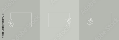 Set Hand Drawn Organic grass, Leaves and flower with square frame, Floral elements, Botanical illustration, Decorative Leaf, Vector Illustration for graphic design, wedding, invitation, logo, cosmetic