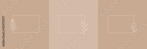 Set Hand Drawn Organic grass, Leaves and flower with square frame, Floral elements, Botanical illustration, Decorative Leaf, Vector Illustration for graphic design, wedding, invitation, logo, cosmetic