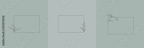 Set Hand Drawn Organic grass, Leaves and flower with square frame, Floral elements, Botanical illustration, Decorative Leaf, Vector Illustration for graphic design, wedding, invitation, logo, cosmetic