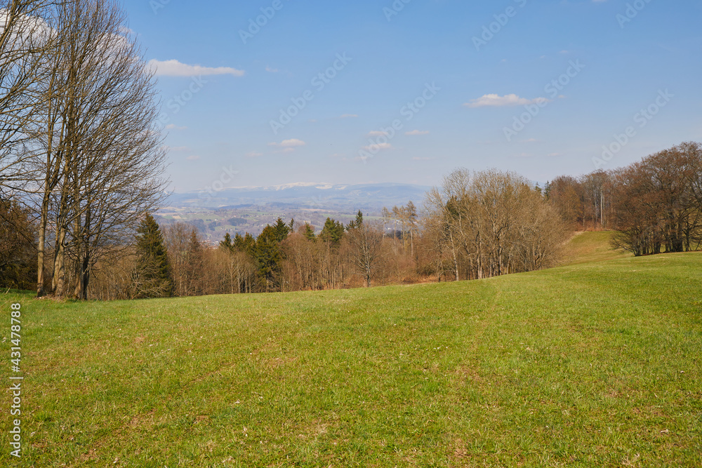 Green grass. Spring forest. Hills. Trees. The valley. Mountains in the distance covered with snow. Blue sky with white clouds.