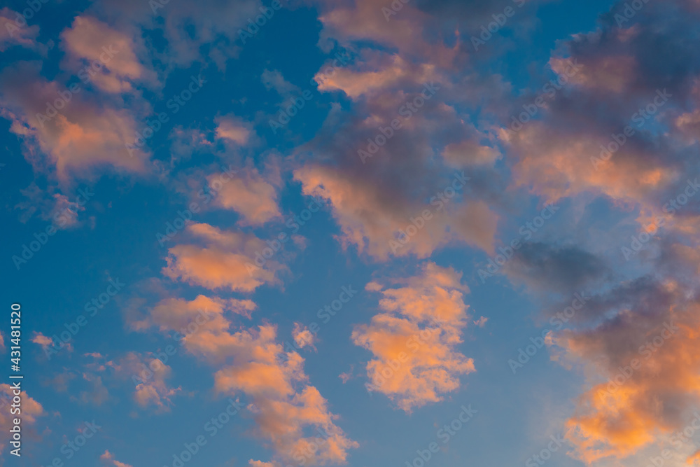 scenic sunrise cloudscape sky with pink black and white coloured cumulus cloud formation in a pastel blue sky. Sunset or sunrise background image