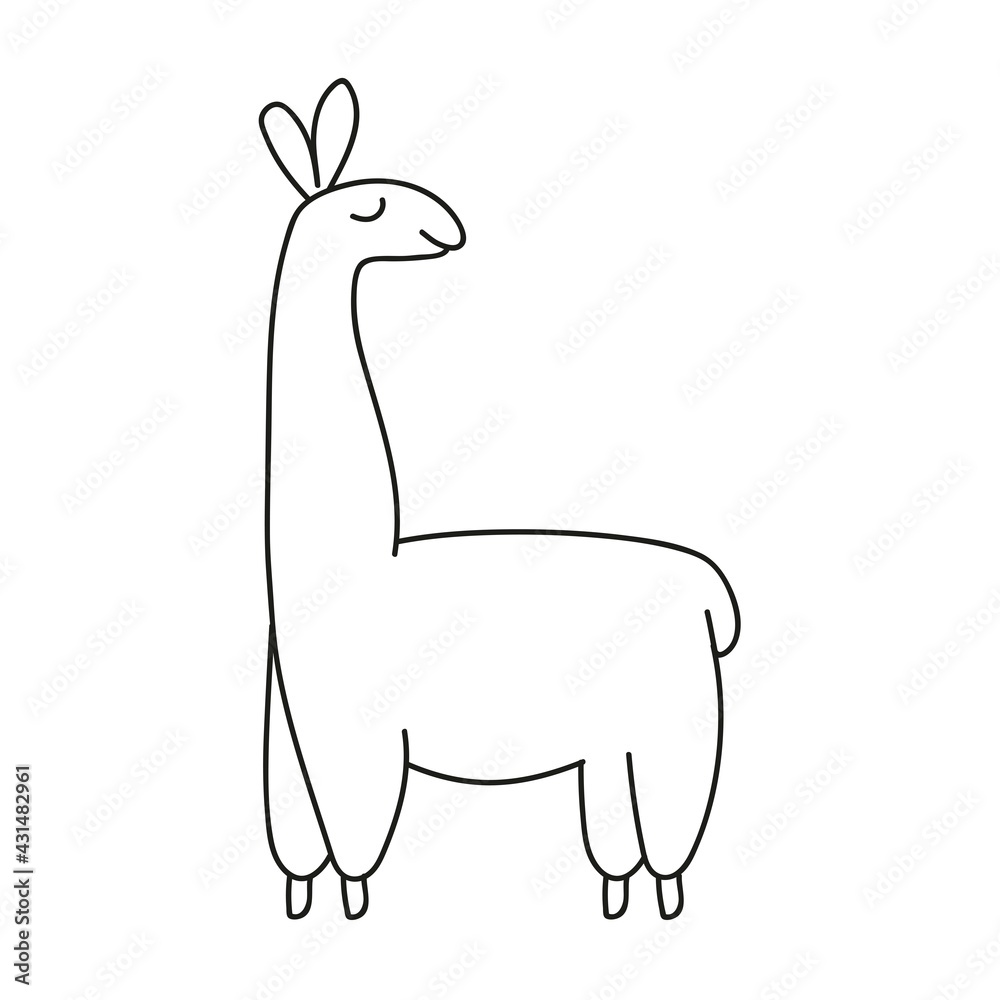 Obraz premium Badge, hand drawn cute llama icon. Vector black and white outline illustration isolated on white background. Coloring book page.