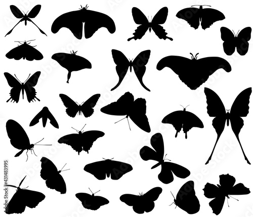 Collection of silhouettes of different species of butterflies
