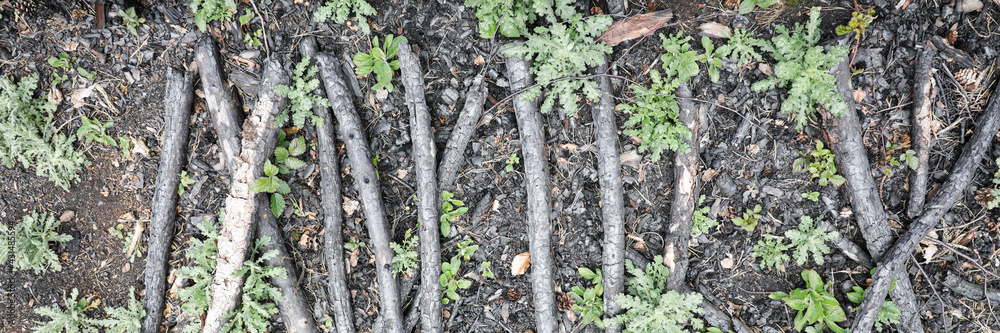 Fototapeta premium Dark texture of charcoal backdrop