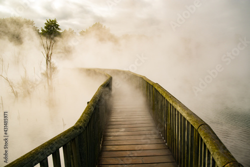 wooden bridge in fog © Francisco Cavilha Nt