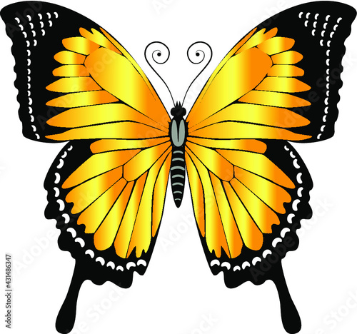 A beautiful, delicate and airy butterfly of yellow color. Vector graphics on a white background.