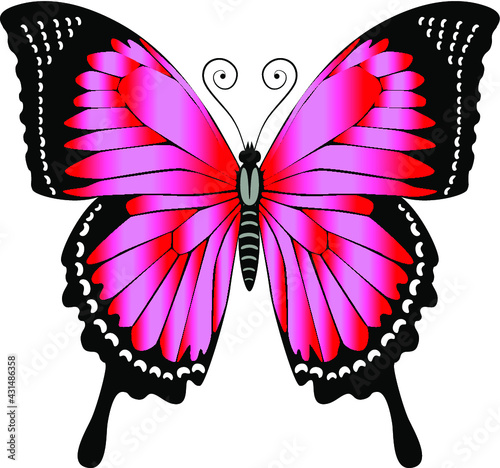 Beautiful delicate air butterfly of red-pink color.