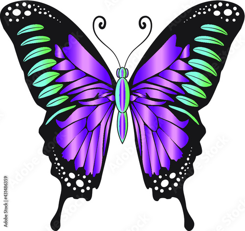 A beautiful, delicate, airy, elegant butterfly, purple-green. Vector graphics on a white background.