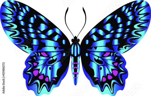 A beautiful, delicate and airy butterfly, blue. Vector graphics on a white background.