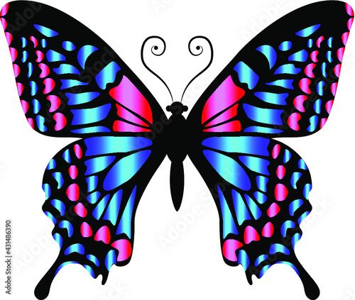 Blue-colored butterfly, bright, delicate and attractive.